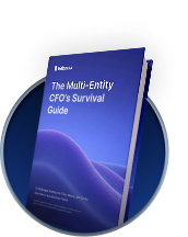 Multi-Entity CFO Guide